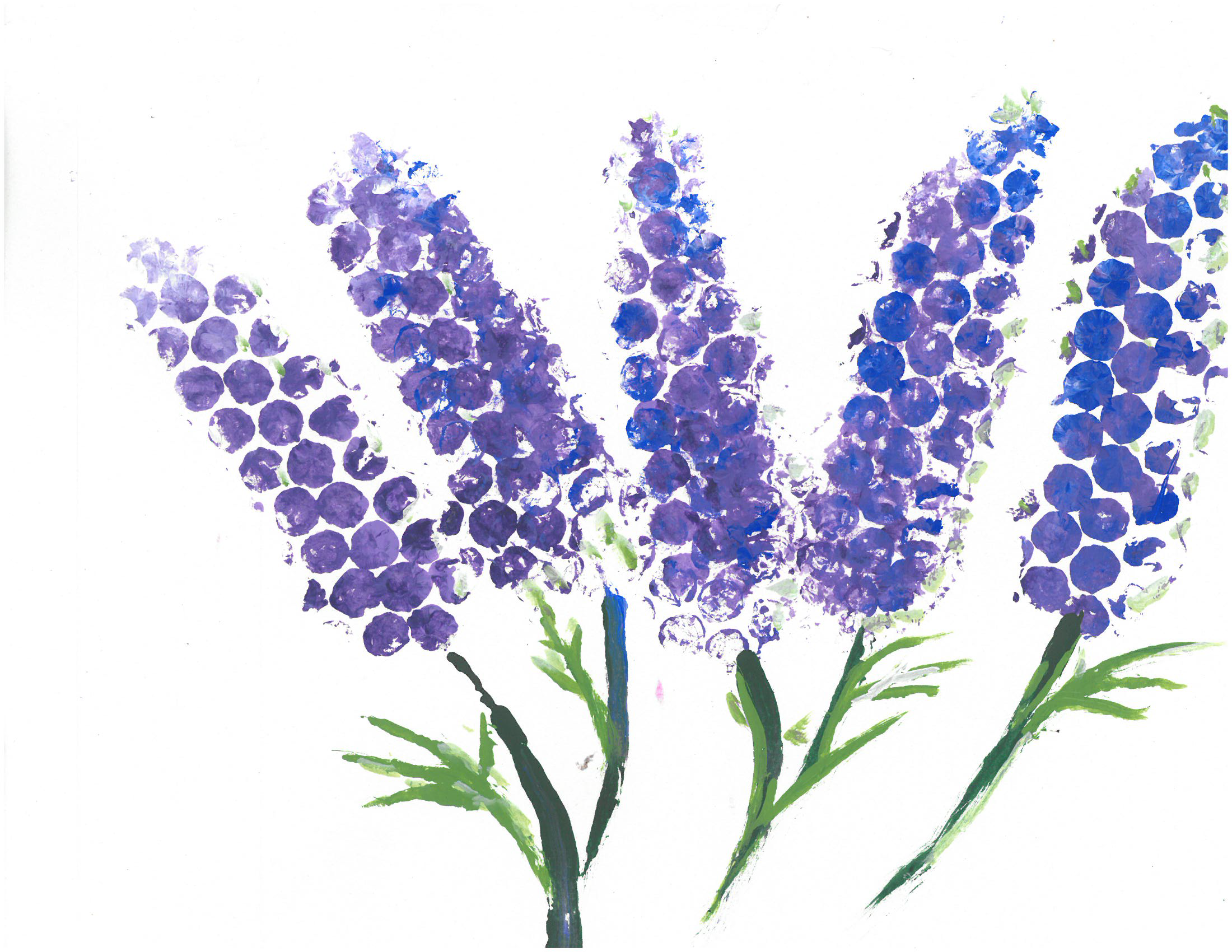 Read more about the article Alaska Lupines & Fireweed